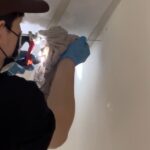 【高雄白蟻防治】老屋翻新木作全毀？自行噴藥反致全室蔓延，普菲特搶救裝潢危機！