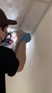 【高雄白蟻防治】老屋翻新木作全毀？自行噴藥反致全室蔓延，普菲特搶救裝潢危機！