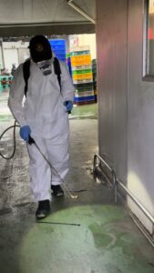 【高雄食品工廠除蟲】解決十年積累蟲害！老舊建築結構與傳統防治失效後的「精準打擊」案例